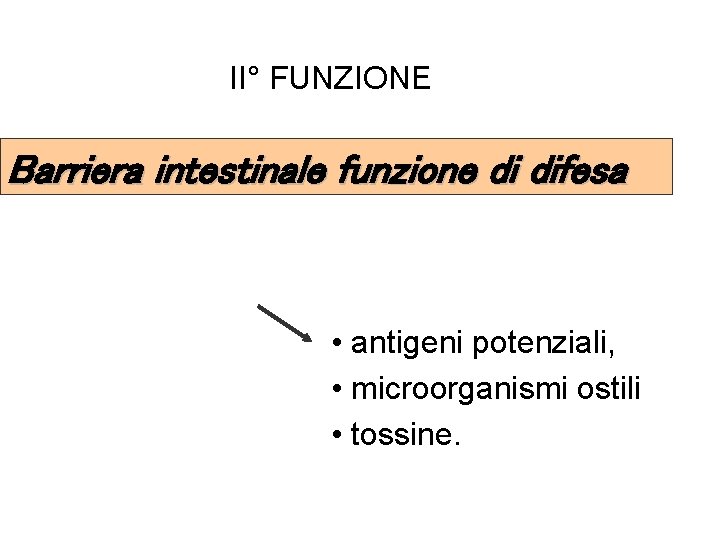 II° FUNZIONE Barriera intestinale funzione di difesa • antigeni potenziali, • microorganismi ostili •