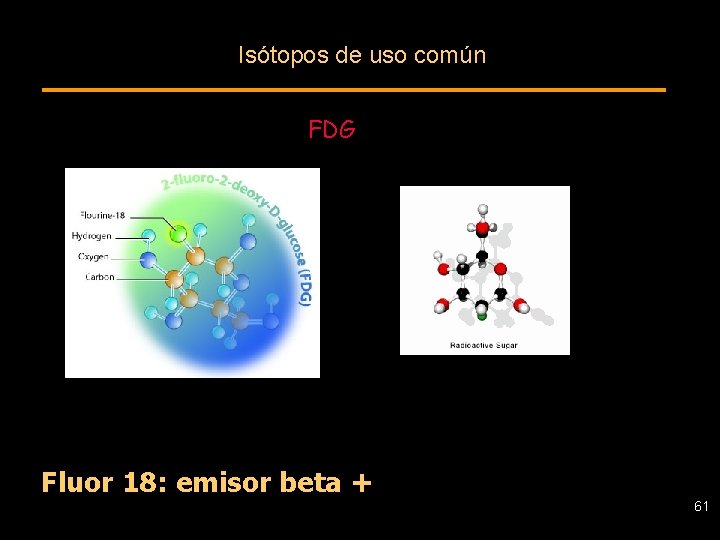 Isótopos de uso común FDG Fluor 18: emisor beta + 61 