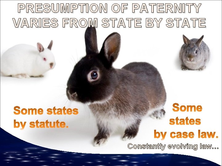 PRESUMPTION OF PATERNITY VARIES FROM STATE BY STATE Constantly evolving law… 