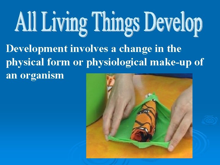 Development involves a change in the physical form or physiological make-up of an organism