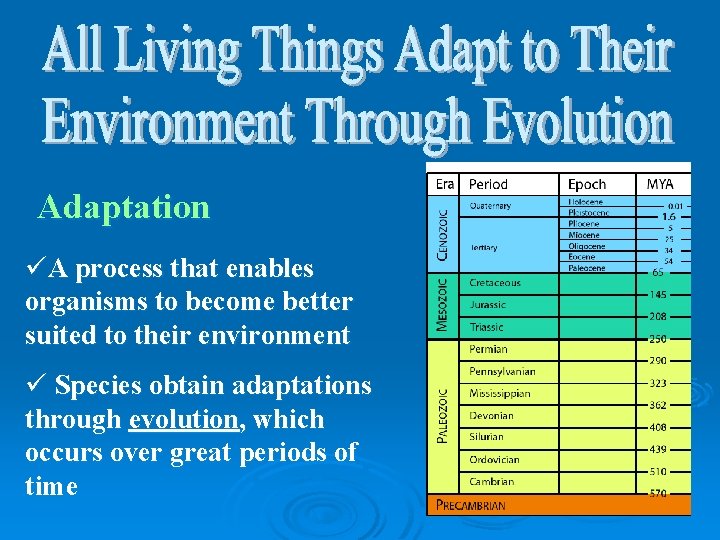 Adaptation üA process that enables organisms to become better suited to their environment ü