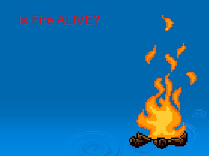 Is Fire ALIVE? 