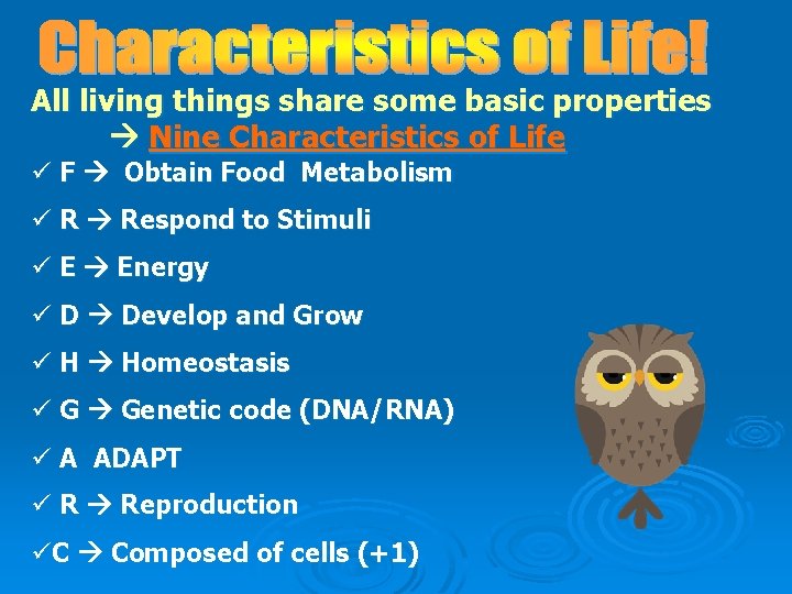 All living things share some basic properties Nine Characteristics of Life ü F Obtain