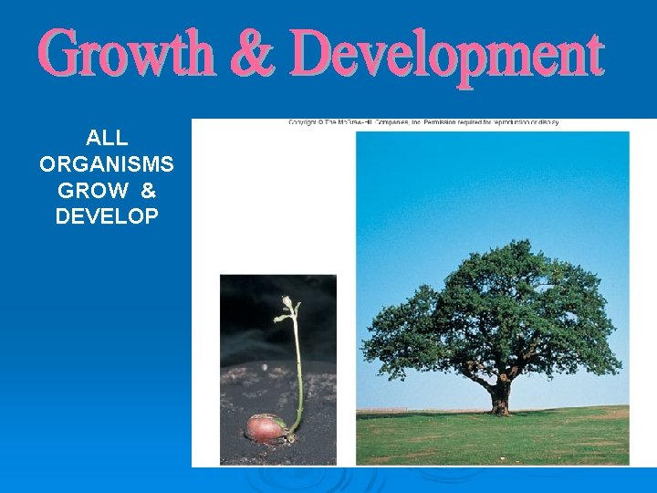 ALL ORGANISMS GROW & DEVELOP 