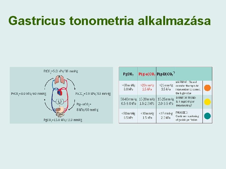 Gastricus tonometria alkalmazása 
