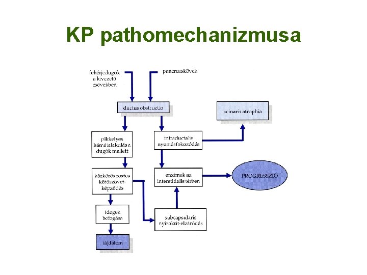 KP pathomechanizmusa 