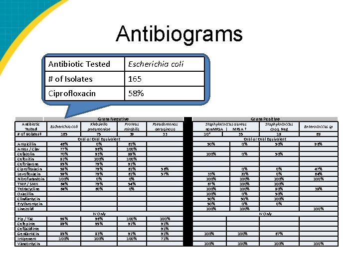 Antibiograms Antibiotic Tested # of Isolates‡ Ampicillin Amox / Clav Cefazolin Cefoxitin Ceftriaxone Ciprofloxacin