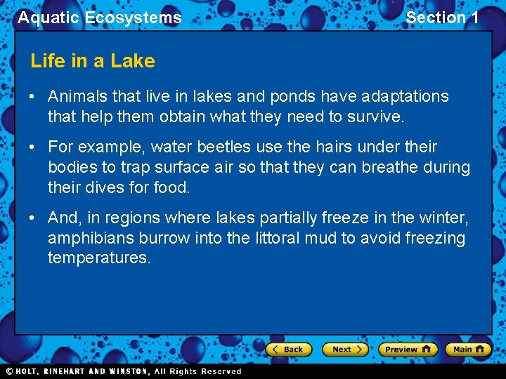 Aquatic Ecosystems Section 1 Life in a Lake • Animals that live in lakes