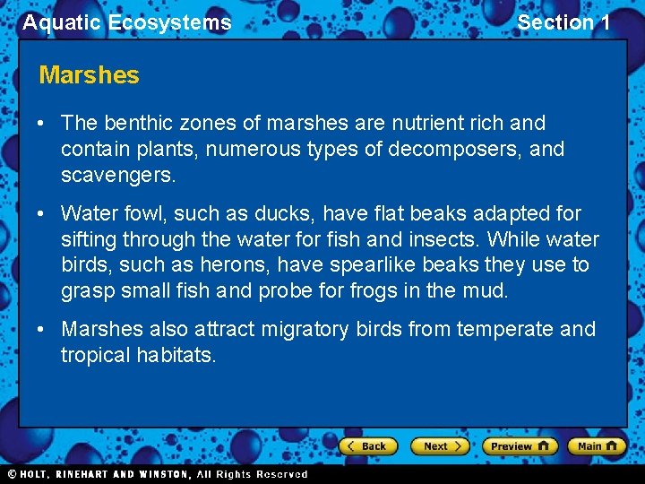 Aquatic Ecosystems Section 1 Marshes • The benthic zones of marshes are nutrient rich