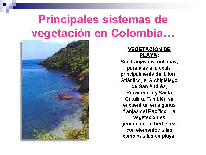 Principales sistemas de vegetación en Colombia… VEGETACION DE PLAYA: Son franjas discontinuas, paralelas a