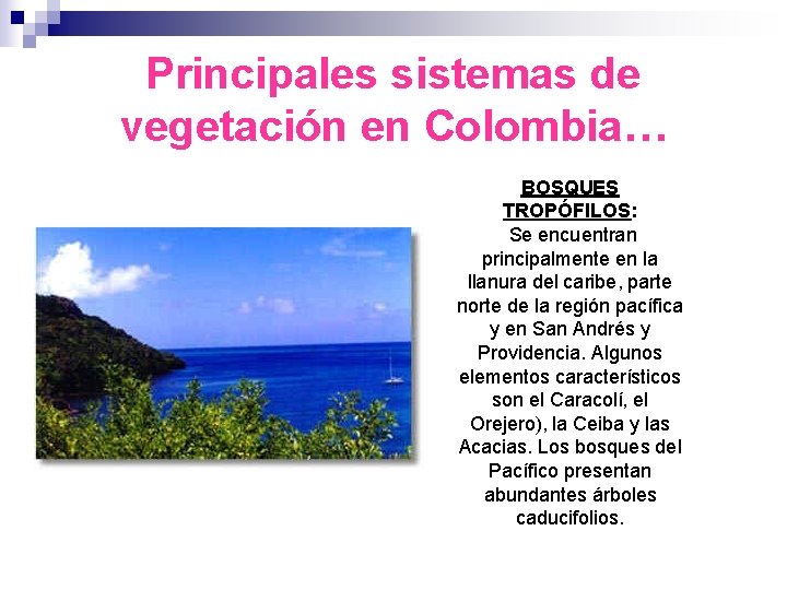 Principales sistemas de vegetación en Colombia… BOSQUES TROPÓFILOS: Se encuentran principalmente en la llanura