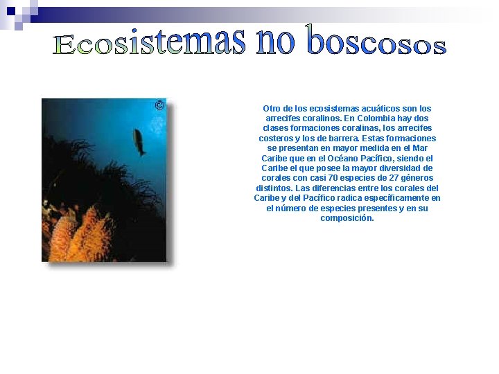 Otro de los ecosistemas acuáticos son los arrecifes coralinos. En Colombia hay dos clases