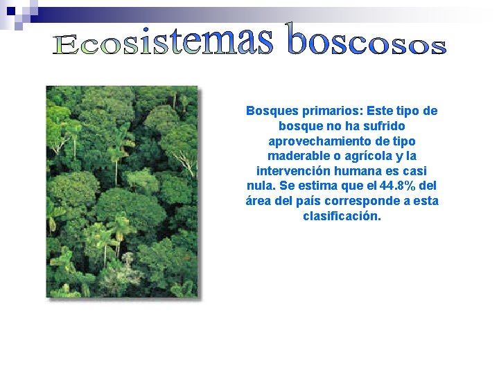 Bosques primarios: Este tipo de bosque no ha sufrido aprovechamiento de tipo maderable o