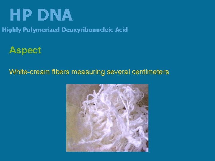 HP DNA Highly Polymerized Deoxyribonucleic Acid Aspect White-cream fibers measuring several centimeters 