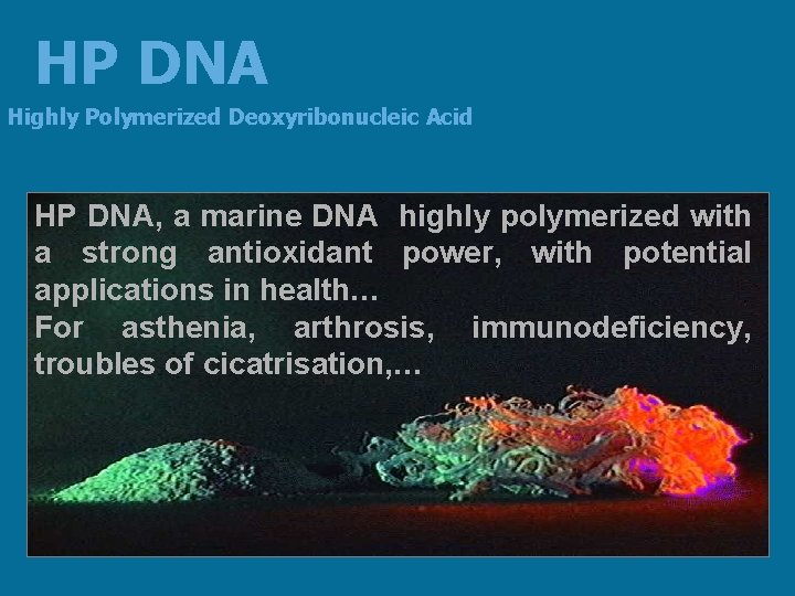 HP DNA Highly Polymerized Deoxyribonucleic Acid HP DNA, a marine DNA highly polymerized with