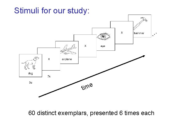 Stimuli for our study: ant e tim or 60 distinct exemplars, presented 6 times
