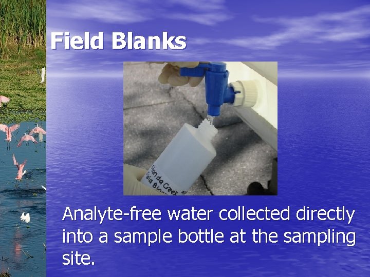 Field Blanks Analyte-free water collected directly into a sample bottle at the sampling site.