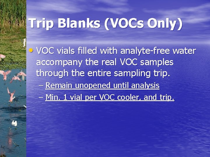 Trip Blanks (VOCs Only) • VOC vials filled with analyte-free water accompany the real