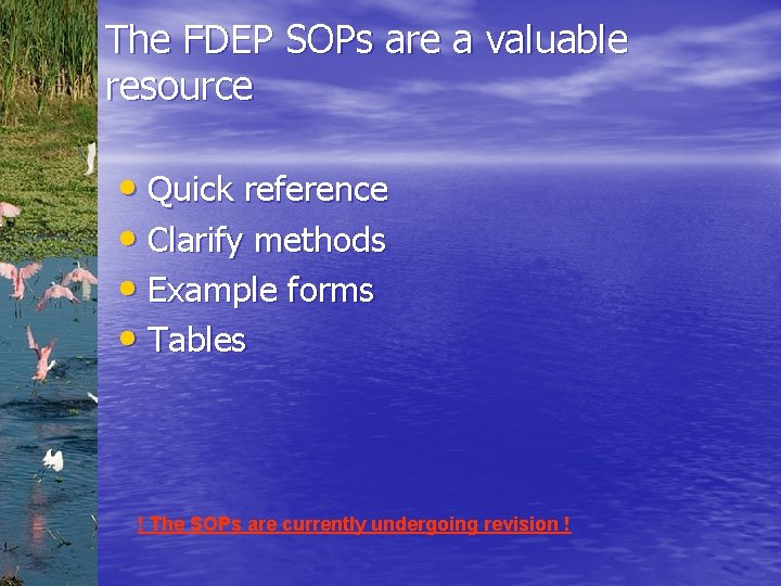 The FDEP SOPs are a valuable resource • Quick reference • Clarify methods •