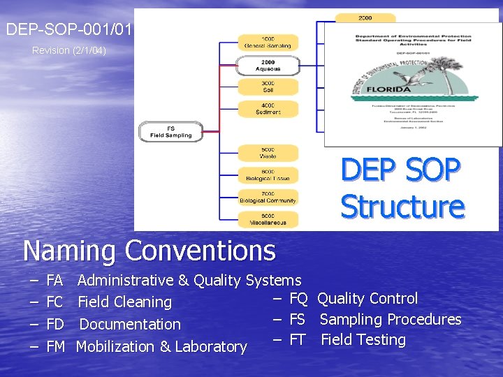 DEP-SOP-001/01 Revision (2/1/04) DEP SOP Structure Naming Conventions – – FA FC FD FM