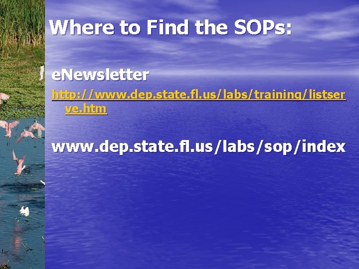 Where to Find the SOPs: e. Newsletter http: //www. dep. state. fl. us/labs/training/listser ve.