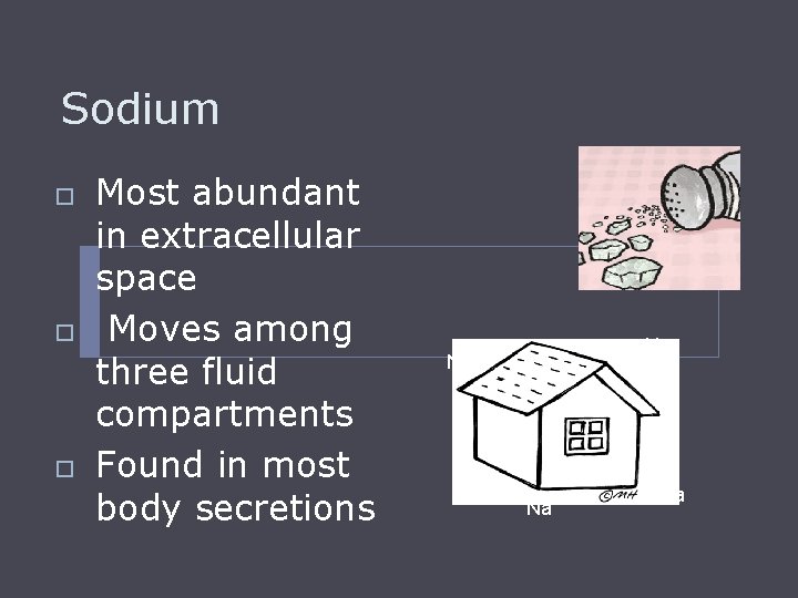Sodium o o o Most abundant in extracellular space Moves among three fluid compartments