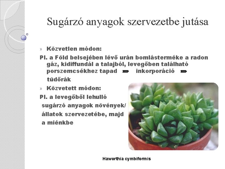 Sugárzó anyagok szervezetbe jutása » Közvetlen módon: Pl. a Föld belsejében lévő urán bomlásterméke