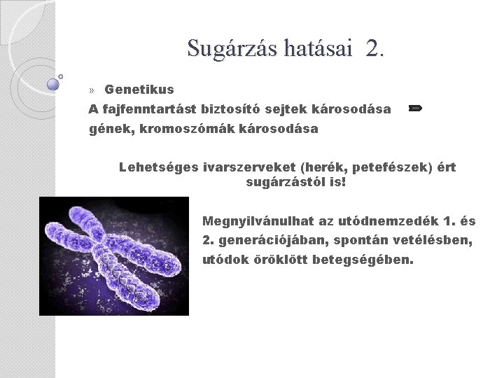 Sugárzás hatásai 2. » Genetikus A fajfenntartást biztosító sejtek károsodása gének, kromoszómák károsodása Lehetséges