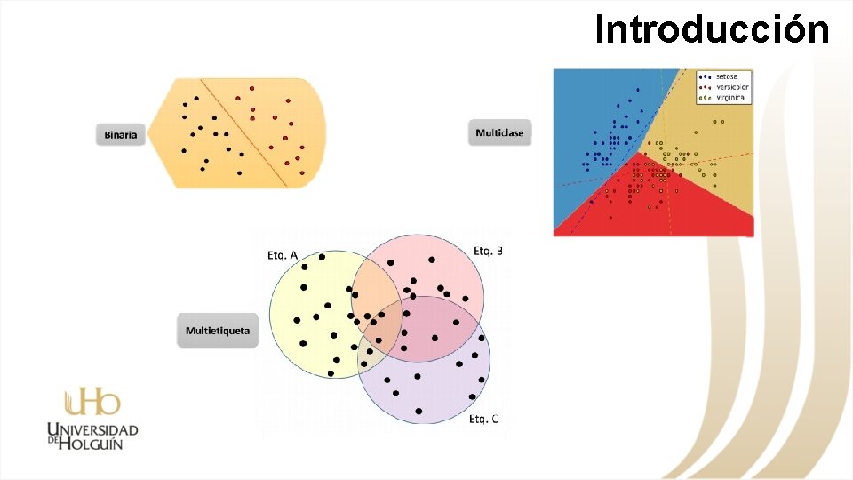 Introducción 