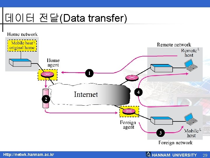 데이터 전달(Data transfer) Http: //netwk. hannam. ac. kr HANNAM UNIVERSITY 29 