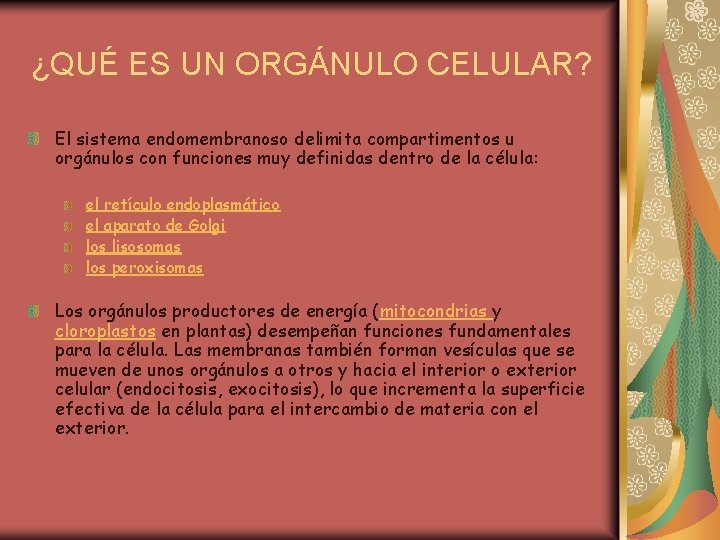 ¿QUÉ ES UN ORGÁNULO CELULAR? El sistema endomembranoso delimita compartimentos u orgánulos con funciones