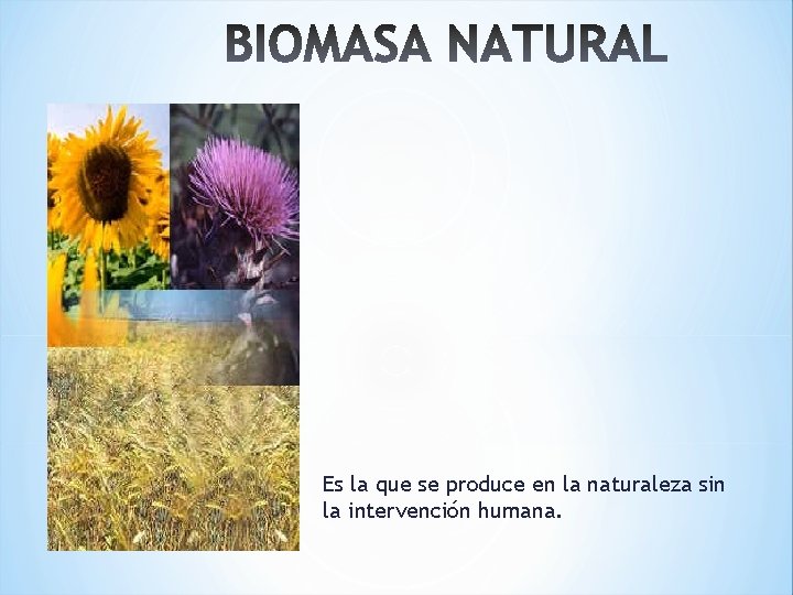 Es la que se produce en la naturaleza sin la intervención humana. 