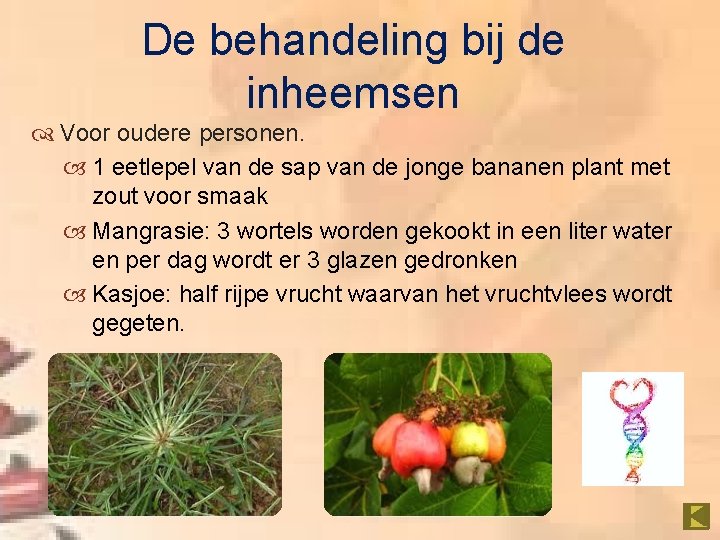 De behandeling bij de inheemsen Voor oudere personen. 1 eetlepel van de sap van
