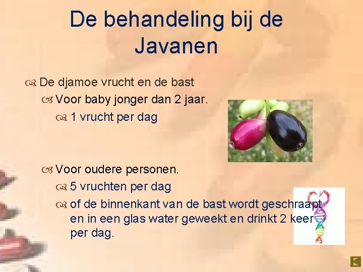 De behandeling bij de Javanen De djamoe vrucht en de bast Voor baby jonger