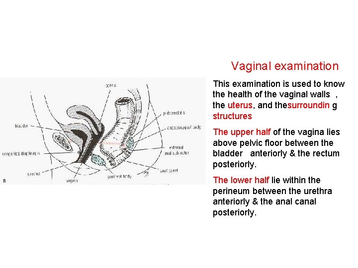 Vaginal examination This examination is used to know the health of the vaginal walls