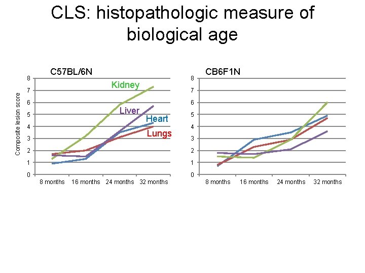 CLS: histopathologic measure of biological age Composite lesion score 8 C 57 BL/6 N