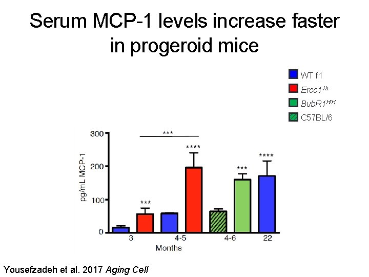 Serum MCP-1 levels increase faster in progeroid mice WT f 1 Ercc 1 -/D
