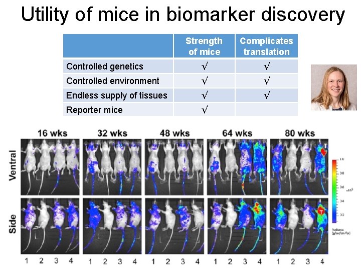 Utility of mice in biomarker discovery Strength of mice Complicates translation Controlled genetics √