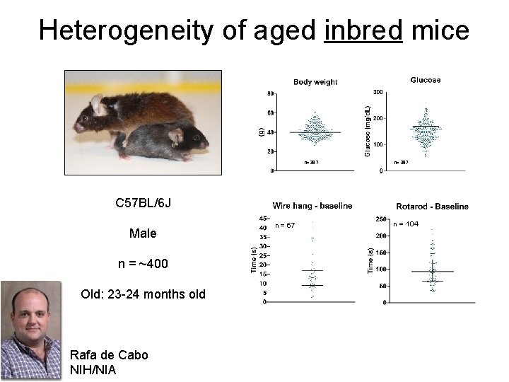 Heterogeneity of aged inbred mice n=397 C 57 BL/6 J Male n = ~400