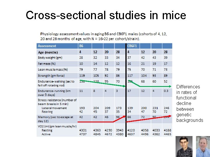 Cross-sectional studies in mice Age (months) Differences in rates of functional decline between genetic