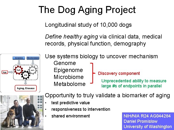 The Dog Aging Project Longitudinal study of 10, 000 dogs Define healthy aging via
