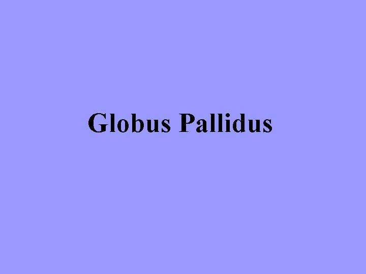 Globus Pallidus 