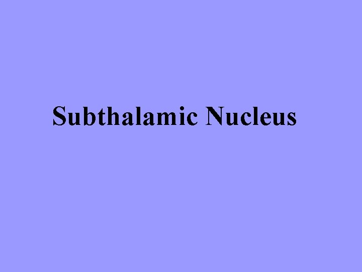 Subthalamic Nucleus 