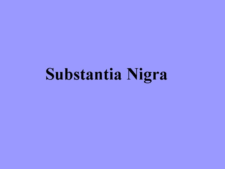 Substantia Nigra 