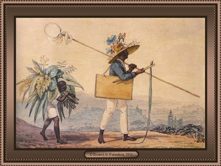 O Escravo do Naturalista, 1816 