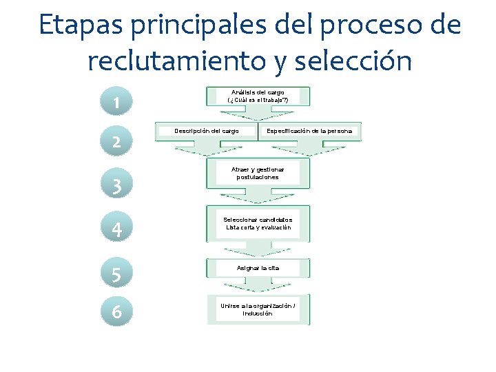 Etapas principales del proceso de reclutamiento y selección 1 2 3 4 5 6