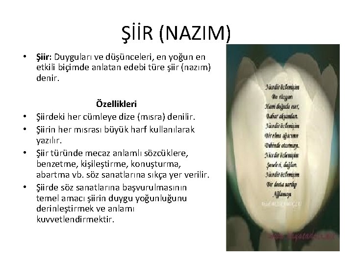 ŞİİR (NAZIM) • Şiir: Duyguları ve düşünceleri, en yoğun en etkili biçimde anlatan edebi