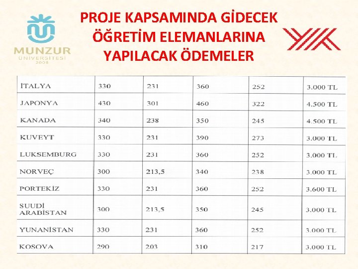 PROJE KAPSAMINDA GİDECEK ÖĞRETİM ELEMANLARINA YAPILACAK ÖDEMELER 