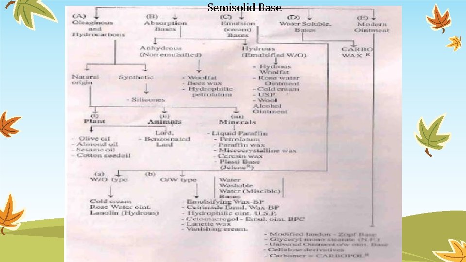 Semisolid Base 