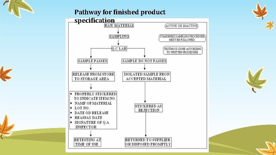 Pathway for finished product specification 